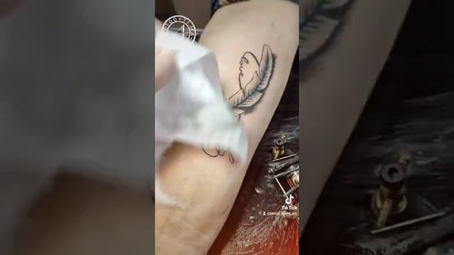 tattoo tema, милое перо с надписью в знаке бесконечности смотреть онлайн