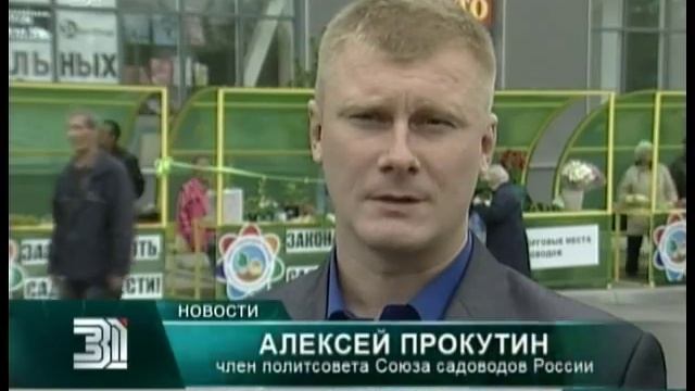 Полезные и недорогие. Где в Челябинске можно купить овощи и фрукты местных производителей смотреть онлайн