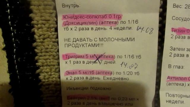 Крысы | Крыс лечение - "Иллюзия обмана". (Fancy Rats) смотреть онлайн