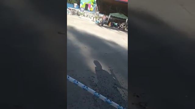 Выставка животных смотреть онлайн