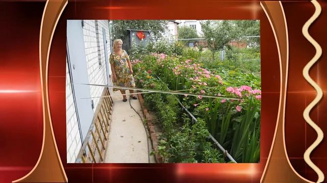 Куст рябины смотреть онлайн