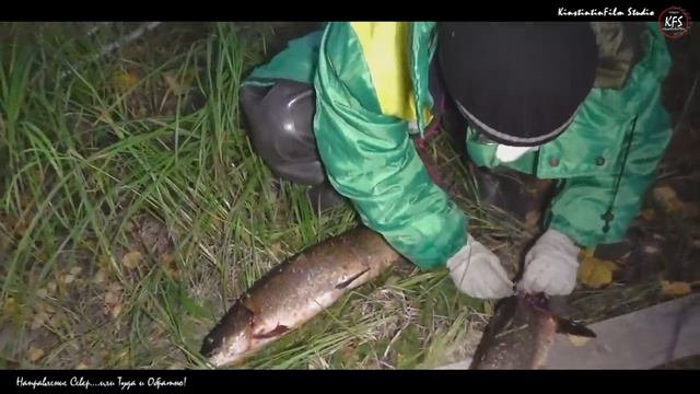 Рыбалка где-то в Архангельской области...Направление Север...Или Туда и Обратно! Часть 1. Туда... смотреть онлайн