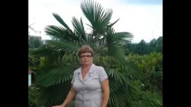С Днём Рождения Светлана ! смотреть онлайн