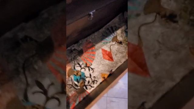 Про пэчворк, сундук и волшебную страну смотреть онлайн