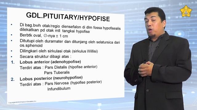 E-Learning (Anatomi Sistem Endokrin) - Bagian 1 смотреть онлайн