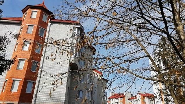 Чому ФУНДУК треба щепити на ВЕДМЕЖОМУ горісі смотреть онлайн