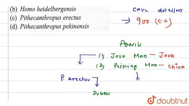 What is the scientific name of Java man? смотреть онлайн