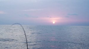 Обзор новых спиннингов в линейке Favorite Х1