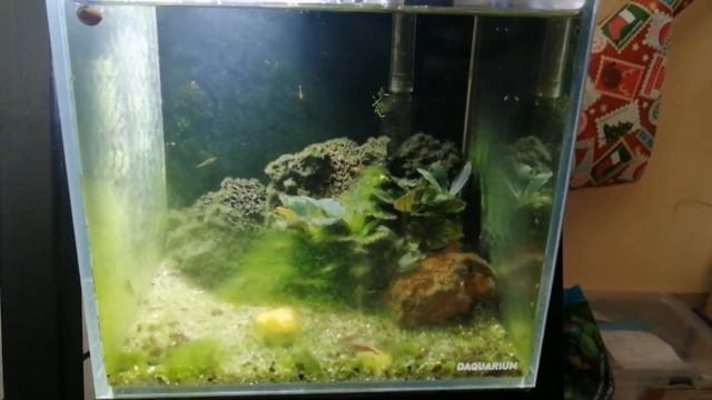 Хьюстон у нас проблемы! Аквариумы 22 литра и 5 литров. смотреть онлайн