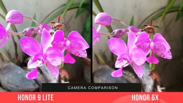 Honor 9 Lite vs Honor 6X Camera Comparison -Which is better Camera smartphone? смотреть онлайн