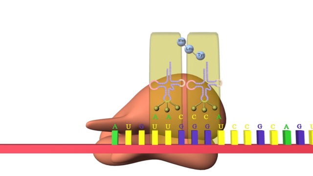 Preuves Scientifiques Existence De Dieu