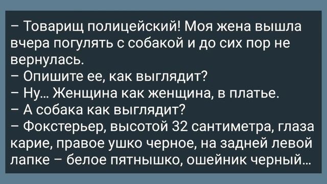 Муж в Бане и СМС от Жены! Подборка Веселых Жизненных Анекдотов! Юмор! смотреть онлайн