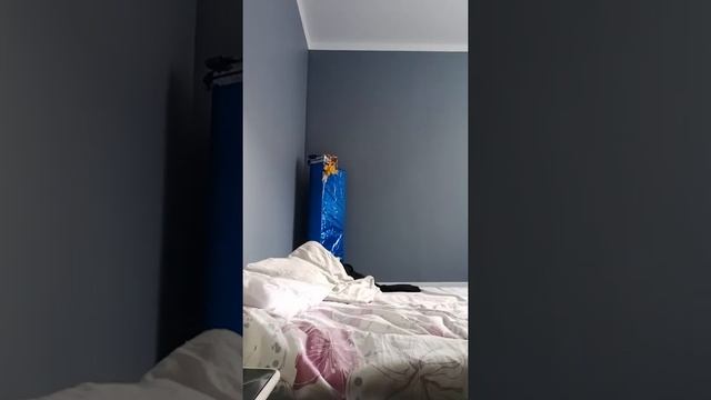 Распаковка iphone 8 plus на 64 гб из аликспесса вастановлиный смотреть онлайн