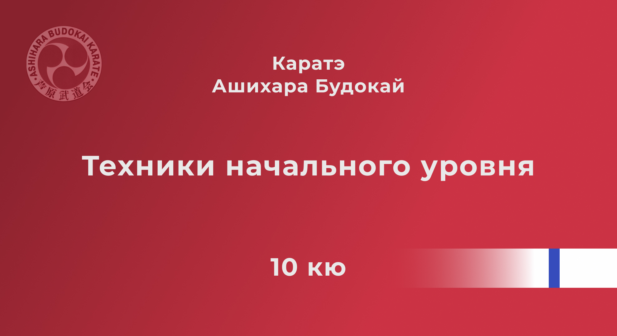Техники начального уровня, 10-й кю смотреть онлайн