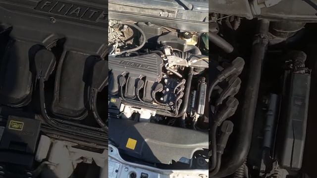 fiat marea benzin enjektör işeme sorunu stop etme çekiş kaybı gibi geç çalışma смотреть онлайн