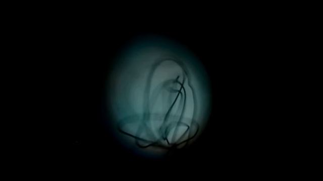 12) Casa - LOTUS - Nicolás García Médici смотреть онлайн