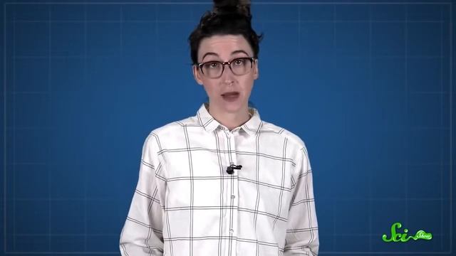 Мнемоника Можно ли взломать собственную память смотреть онлайн