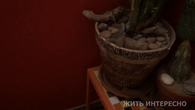 ВЫКРАСИТЬ И НЕ ВЫБРОСИТЬ... смотреть онлайн