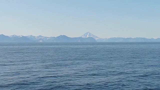 Тихий океан, Авачинский залив смотреть онлайн