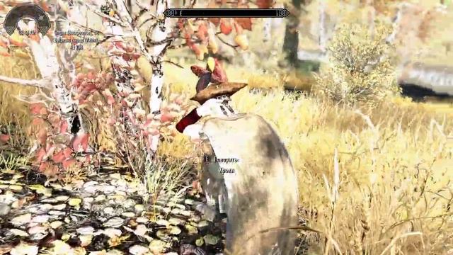 Skyrim Трусливую Хроки - вывели на чистую воду... смотреть онлайн