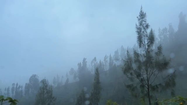 Jawa Timur ?? Perjalanan Melintasi Waktu Dan Alam! (Surabaya, Gunung Bromo, Air Terjun)