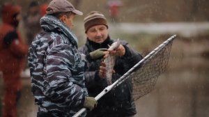 Ловля форели на спиннинг осенью на платнике.