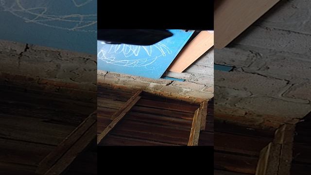 скандал с матерью