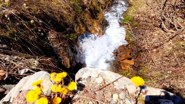 Иегова подарил нам так много невероятных подарков смотреть онлайн