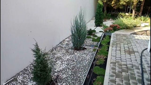 Погода, климат город Лиски Воронежская область. 4 октября 2019г. Хризантемы, виноград в саду. смотреть онлайн