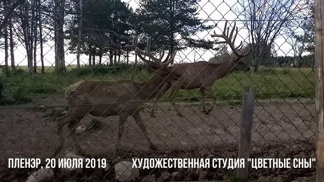 пленэр висим смотреть онлайн