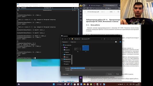 Выполнение лабораторной работы №11 смотреть онлайн