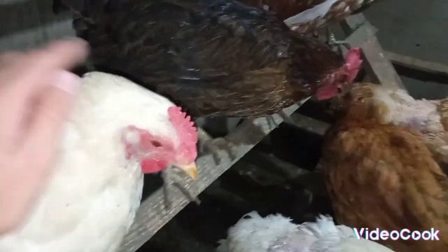 СтройКосмос