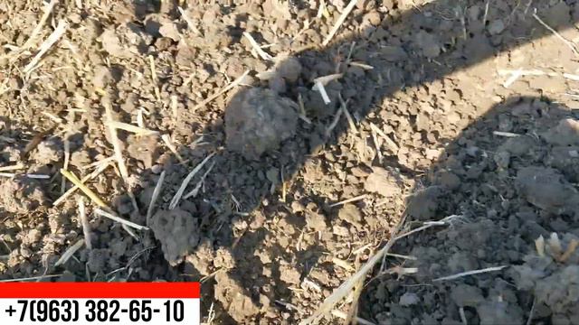 Работа Дисковой бороны Carbon D8500 смотреть онлайн