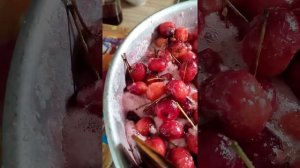 варенье из китайки«Райские яблочки»(самый быстрый и легкий рецепт)