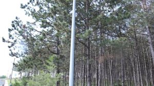 2018.07.24 Обезьяна капуцин Масяня. Автопробег по Крыму.