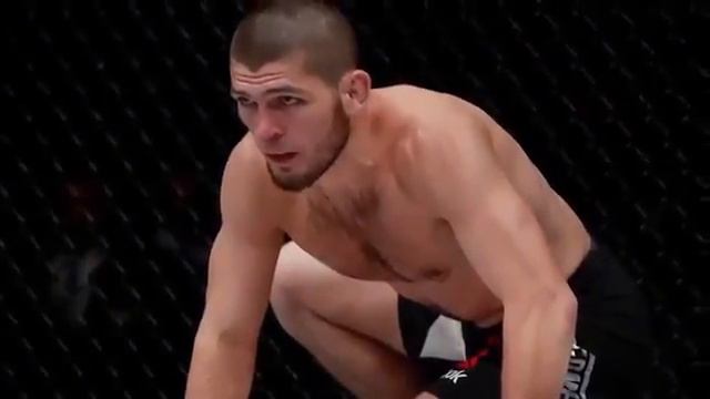 Что произошло на самом деле с хабиба смотреть онлайн