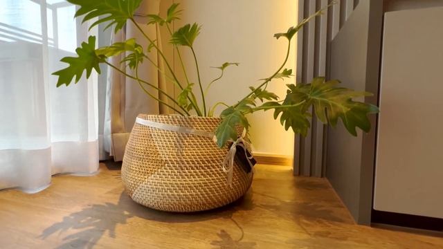 Недвижимость на Пхукете 2023. Лучшие апартаменты Layan Green Park. Качественное жилье на Bang Tao.