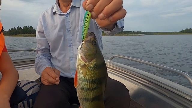 Рыбалка на СЕЛИГЕРЕ. Дом Рыбака Заречье 33. смотреть онлайн
