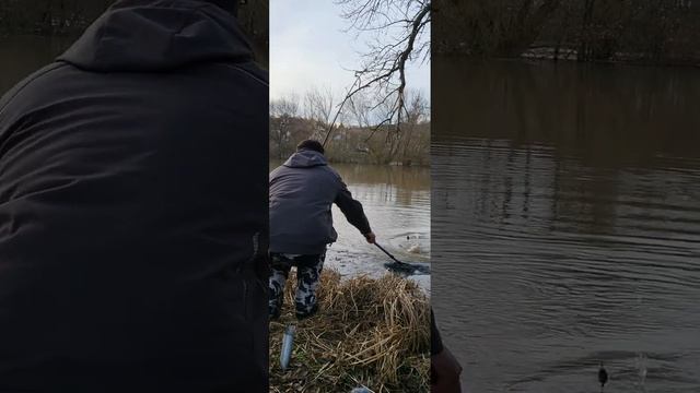 Лещ весной на мини бойлы. Рыбалка весной на грунт. 16.03.2023.река Майн. смотреть онлайн
