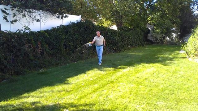 Preventing Dog Urine Spots in Lawns with PetiGreen смотреть онлайн