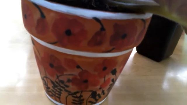 Узамбарская фиалка смотреть онлайн