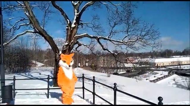 Лиса в Выборге / Fox in Vyborg ))) смотреть онлайн