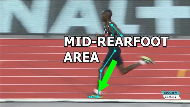 Running Analysis: The FASTEST 5K in the WORLD! (Joshua Cheptegei) смотреть онлайн