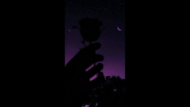 Подборка песен без авторских прав