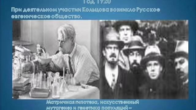 Презентация История развития генетики от Г Менделя, до наших дней смотреть онлайн