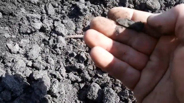 Коп по ЧК на Quest Q20 и Quest X5 смотреть онлайн