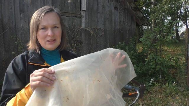 Пресс в виноделии. Насколько он нужен. Некоторые особенности прессования смотреть онлайн