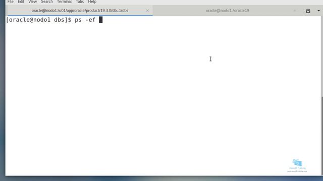18-Curso de Administración de Oracle: Revision procesos y memoria смотреть онлайн