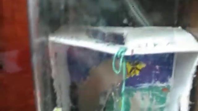 хомячок делает сальто смотреть онлайн