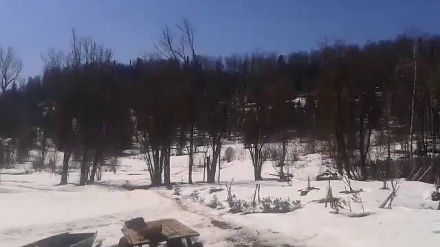 Автономная солнечная система в тайге